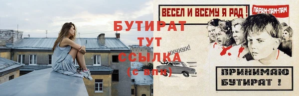 крисы Бородино