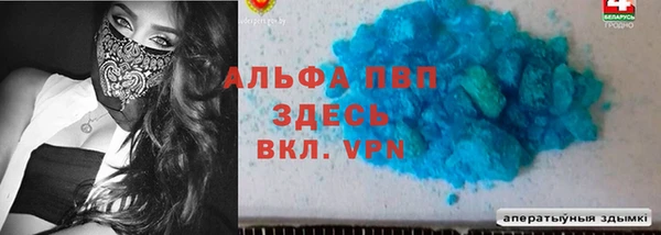 крисы Бородино