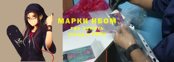 крисы Бородино