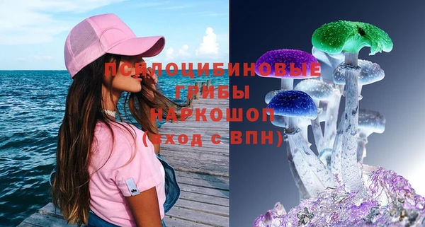 крисы Бородино