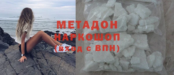 крисы Бородино