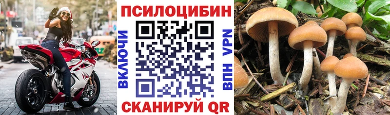 Галлюциногенные грибы мицелий  Великий Устюг 