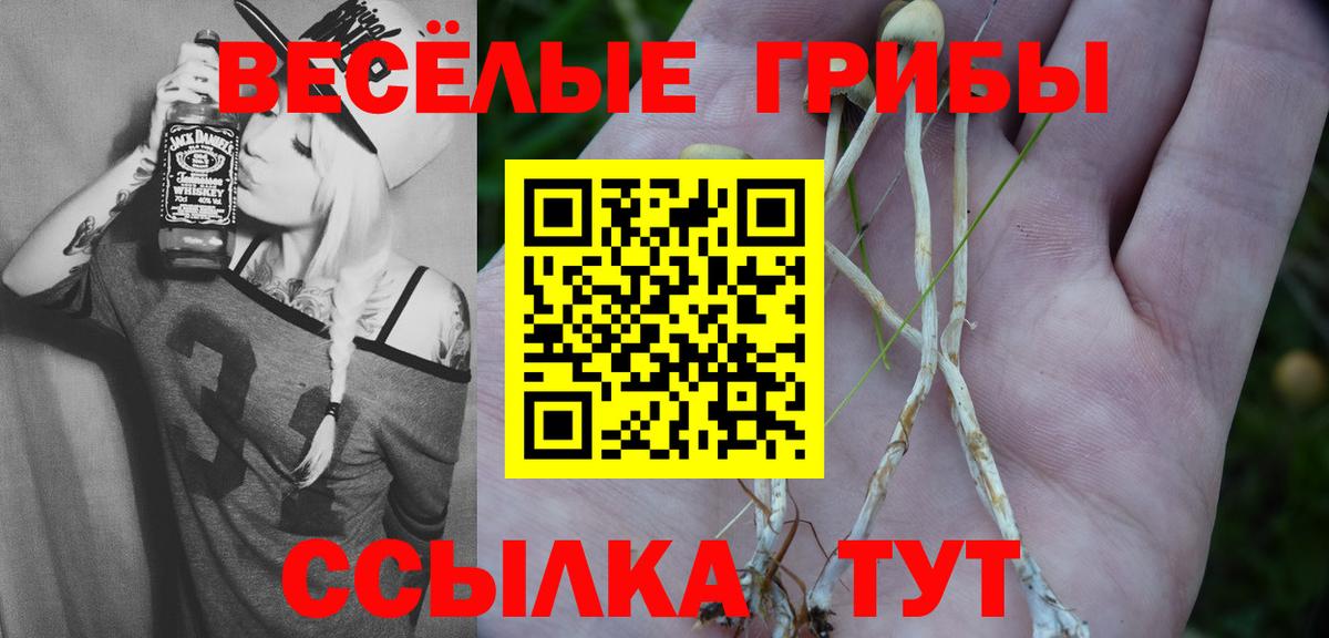 Псилоцибиновые грибы Magic Shrooms Великий Устюг