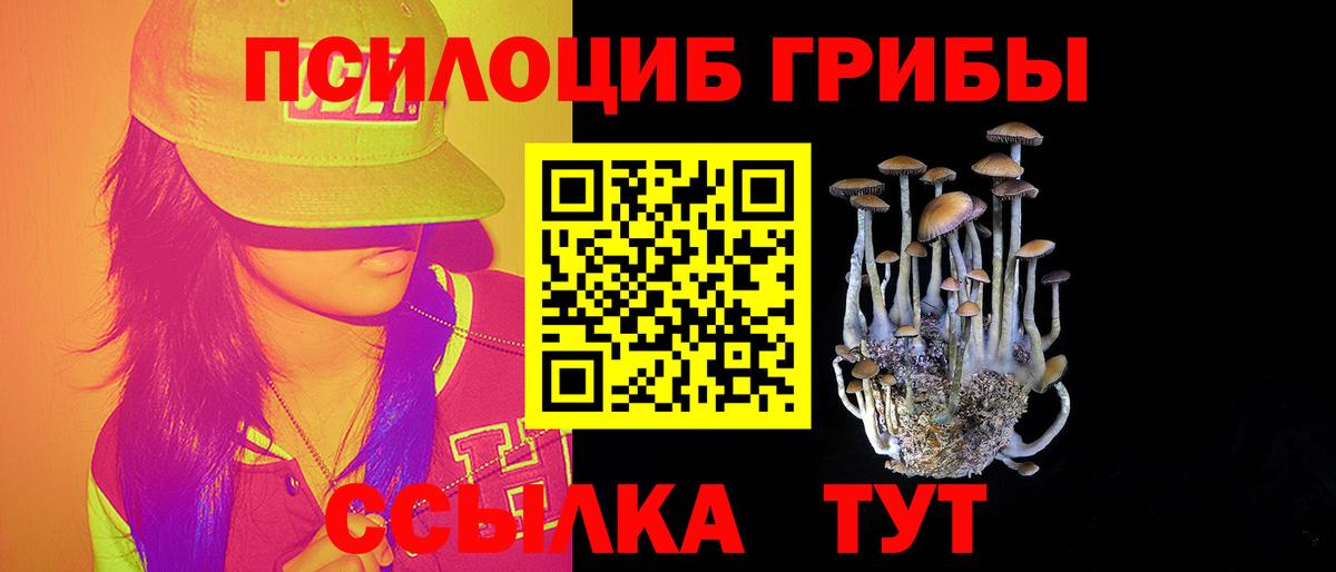 Галлюциногенные грибы MAGIC MUSHROOMS  Галлюциногенные грибы прущие грибы  цены наркотик  Вход с VPN  Великий Устюг 