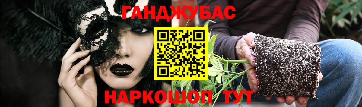 Бошки Шишки White Widow  Вход с VPN  Великий Устюг  Бошки марихуана SATIVA & INDICA  Конопля сатива 